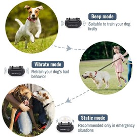 Petrainer 2Pcs Dog Shock Training Collar Rechargeable with LCD Remote Waterproof 330 Yards