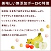 Tezukayama Hound Cam Dog Treat, Additive-free, Fruit Mix Bolo, Flour