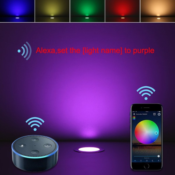 FVTLED LED Deck Lights Alexa, 20pcs WiFi Controller Φ1.22 Low
