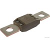 Herth + Buss Elparts Fuse Powerval – 50295845