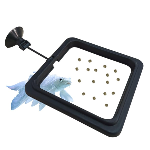 FREESEA Fish Feeding Ring for Aquarium: Square Betta Floating Feeding