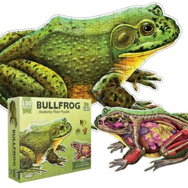 Bullfrog Animal Anatomy Floor Puzzle | 100-Piece Double Sided Jigsaw Puzzle | Large-Sized, Over 4 Feet Scientifically Accurate Illustration of Frog - Fun and Educational Toy for Kids, Toddlers