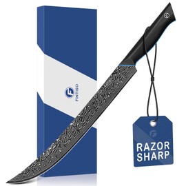 FINTISO Carving Brisket Knife 11.6 Inch, 67-Layer Damascus Steel Breaking Knife with Curved Blade, Slicing and Butcher Knives for Meat Cutting with Ergonomic G10 Handle - Zeus Series