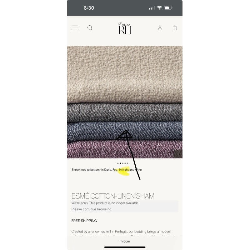 Restoration Hardware RH Restoration hardware ESMÉ COTTON-LINEN KING SHAM twilit