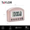 Taylor Pro 3-Piece Kitchen Measuring Set with Hygienic Digital Scales,