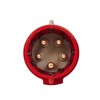 Legrand 555239 Mobile Plug Straight P17 IP44 32 A, 380