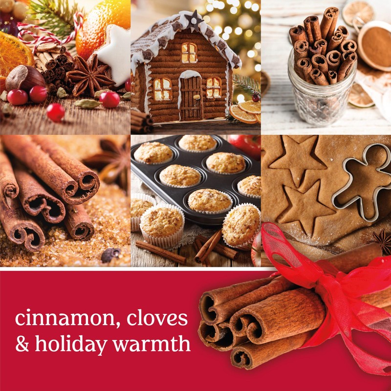 Yankee Candle ScentPlug Refill (2.5 Ounce (Pack of 4), Sparkling