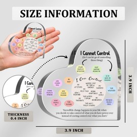 Mental Health Decor, Things I Can Control Acrylic Sign, School Counselor Office Must Haves, Positivity Decorations for Home Office School, Counselor Therapist Office Gifts