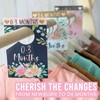 6 Baby Closet Size Dividers Baby Girl - Floral Baby