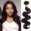 ALHER Black Mix Dark Burgundy Highlight Bundle Human Hair Body