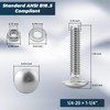 1/4-20 x 1-1/4 Inch Carriage Bolt Kit, 304 Stainless Steel