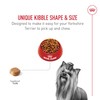 Royal Canin Breed Health Nutrition Yorkshire Terrier Adult Dry Dog