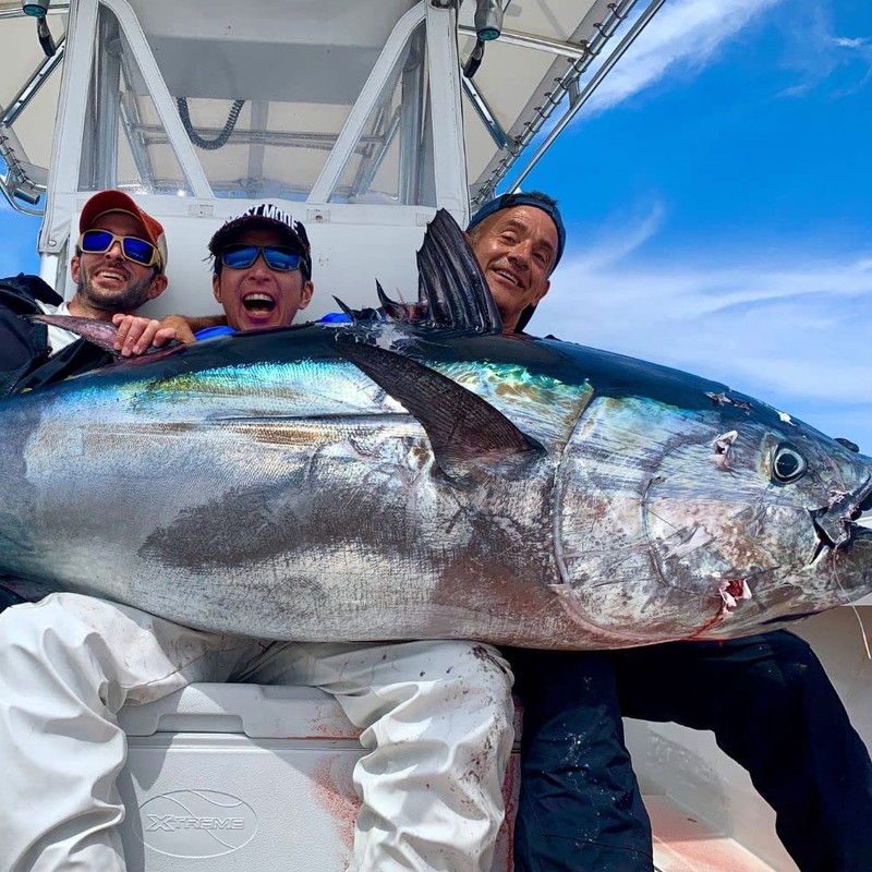 BKK Monster Circle Hooks 12/0 Qty 3