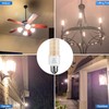 Led Light Bulb Equivalent 250w 2pcs Super Bright Led Bulbs,