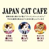 Cat-Shaped Hook Tea, Sencha(Japanese green Tea), 1.5g x 3 tea