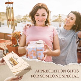 SteadStyle Pastor Appreciation Gifts, Christian Thank You Gifts for Women/Men, Appreciation Gifts for Coworkers, Employee, Teacher, Spiritual Gifts Wind Chime Garden Decoration