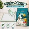 Dry Pet Tapete Entrenador para Perro de 30 Piezas