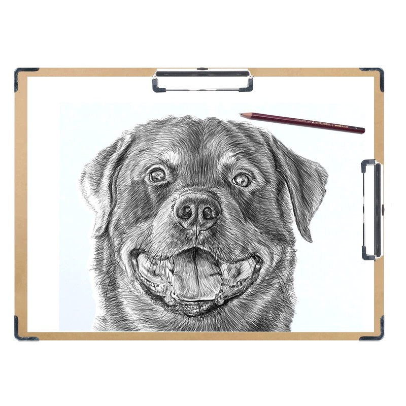 Acocony Drawing Board 18 x 24 Double Clip with Hardware