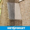 Wet & Forget No Scrub Outdoor Cleaner for Easy Removal