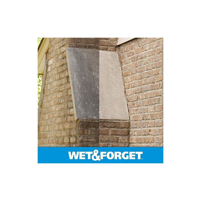 Wet & Forget No Scrub Outdoor Cleaner for Easy Removal