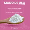 Holiherb - Myo-Inositol (4g) + Ácido Fólico | Suplemento en