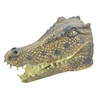 Bristol Novelty BM446 Crocodile Mask, Multi-colour, One Size