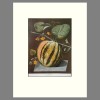 Melons - Matted Botanical Print, Plate 64, Pomona Britannica, G.