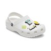 Crocs Jibbitz Packs for Shoes, and Sandals - Beautiful Accessory,