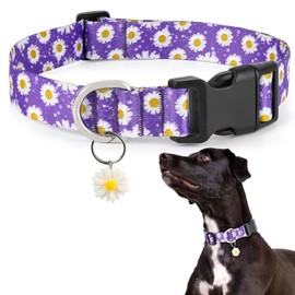 Ayaseen Small Dog Collar with Daisy Charm, Floral Girl Boy Purple Dog Collar Small Dog, Soft Cute Dog Collar Flower Pet Collar for Male Females - Purple, XS