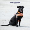 HUGO & HUDSON Easy Walk Dog Harness Adjustable No-Pull Step-in