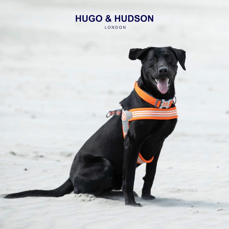 HUGO & HUDSON Easy Walk Dog Harness Adjustable No-Pull Step-in