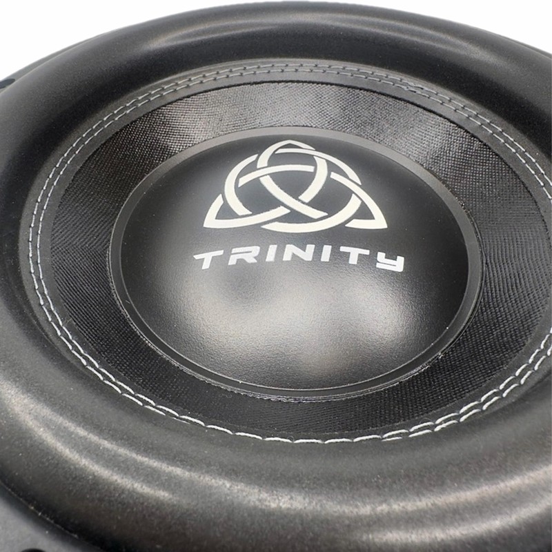 Trinity Audio TAS-E10D2 10" 2400W Dual 2-Ohm Subwoofer