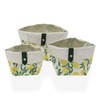 CESTAS CUADRADAS LEMONS SET OF 3