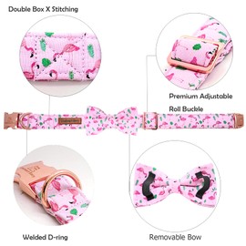 Lionheart glory Dog Bow Collar Valentine's Dog Collar for X-Small Dogs, Spring Dog Collar with Bowtie Spring Dog Collar Puppy Collar Bows