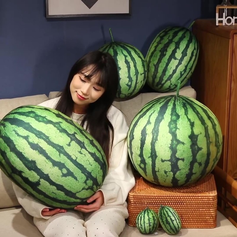 Watermelon Fruit Pillow Soft Pillow Cute Food Throw Pillow for