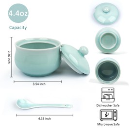 Tingyework Porcelain Salt Cellar with Lid and Spoon, 4.4 oz Salt Container Sugar Bowl for Spice & Seasonings, Elegant Kitchen Counter Decor, Chinese Celadon (Ivory Blue)