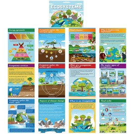 Pajean 13 Pcs Ecosystems Bulletin Board Posters Science Teaching Poster Classroom Decorations for Middle High School Biological Food Web Chain Bulletin Board for Door Wall Decor Educational Supplies