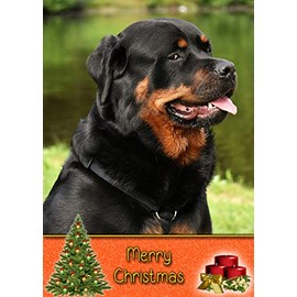 Rottweiler Dog Christmas Card 'Merry Christmas' - Special Animal Xmas Card for Him Her from Pets Kids