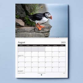 2025 British Birds Wall Calendar Featuring Stunning Photography of Birds from Britain - Includes All UK & World Holidays & Dates Included | Perfect Christmas Calendar for the Home and Office