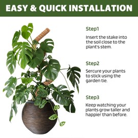 2 Pack Moss Pole - 48'' Bendable Moss Pole Monstera Plant Support - Moss Pole for Plants Monstera - Moss Poles for Climbing Plants - Plant Stakes Plant Sticks Support Trellis