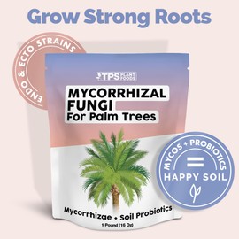 TPS NUTRIENTS Mycorrhizal Fungi for Palm Trees, Mycos for Transplanting and for Established Palm Tree, Contains Mycorrhizae and Soil Probiotics (6 Ounces)