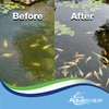 Aquascape 96026 Algaecide for Pond, Waterfall, and Water Features, 1-Gallon