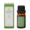 Alle Pure Essential Oil Baekpro Eucalyptus, 10ml, 1 piece / 알레 퓨어 에센셜 오일 백프로 유칼립투스, 10ml, 1개