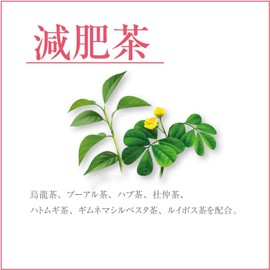 Orihiro Value Reducing Composting Tea Du Jung Tea Pu'er Tea Gymnema Tea 0.1 oz (3 g) x 48 Bags Set of 5 + H Hot Towel with Kunutonn Original Logo