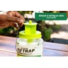 RESCUE! Outdoor Fly Trap - Reusable - 3 Traps