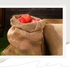 Windyun 12 Pack Potato Sack Race Bags Burlap Bags with