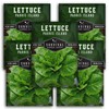 5 Packs Parris Island Cos Lettuce Seed for Planting -