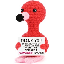 Flamingo Teacher Appreciation Gifts for Women Easter Basket Graduation End of Year Thank You Gift for Teacher Birthday Retirement Thank You for Being Such an Important Part of My Story Flamingo Decor