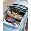 HOTOR Car Trunk Organizer - Foldable Trunk Organizer for SUV,
