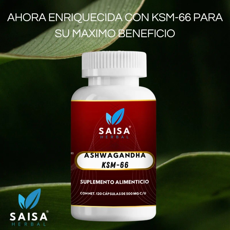 Suplemento Antiestres Ashwagan 120 Cáps 500 Mg Ksm-66 Sin Sabor